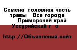 Семена (головная часть))) травы - Все города  »    . Приморский край,Уссурийский г. о. 